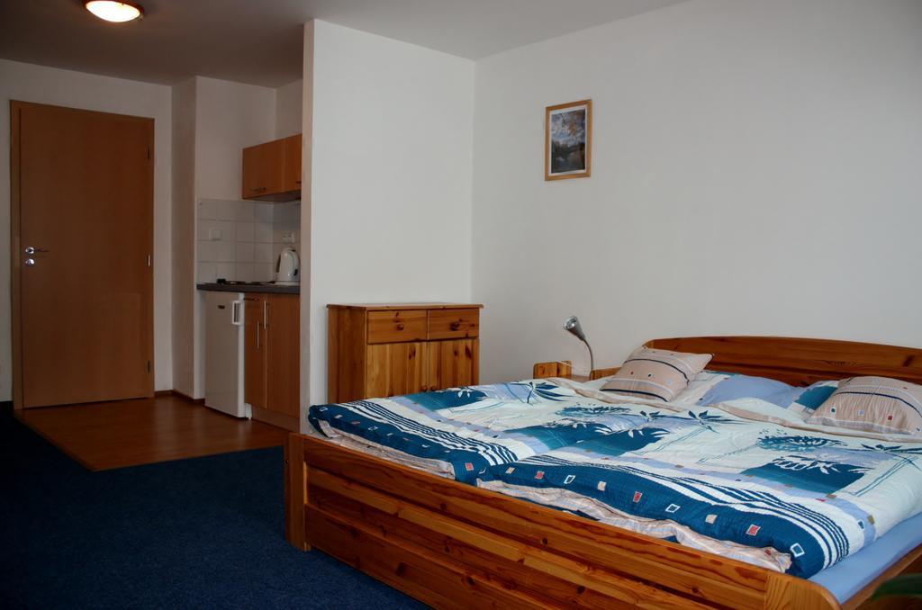 Apartmany Doma Janov nad Nisou Rum bild